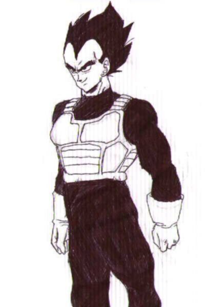 -Vegeta