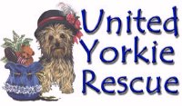 yorkierescue