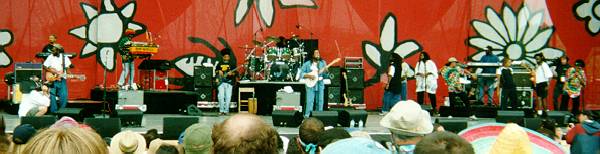 Ziggy Marley and the Melody Makers