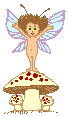 fairymushroom