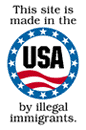 MADE IN USA, by illegal immigrants AWARD