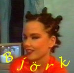 Bjrk