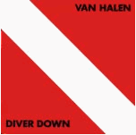 DIVER DOWN