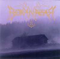 Borknagar