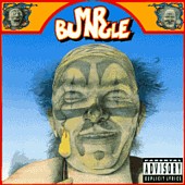 Mr Bungle