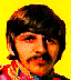 ringo7.jpg