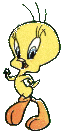 Tweety Pie