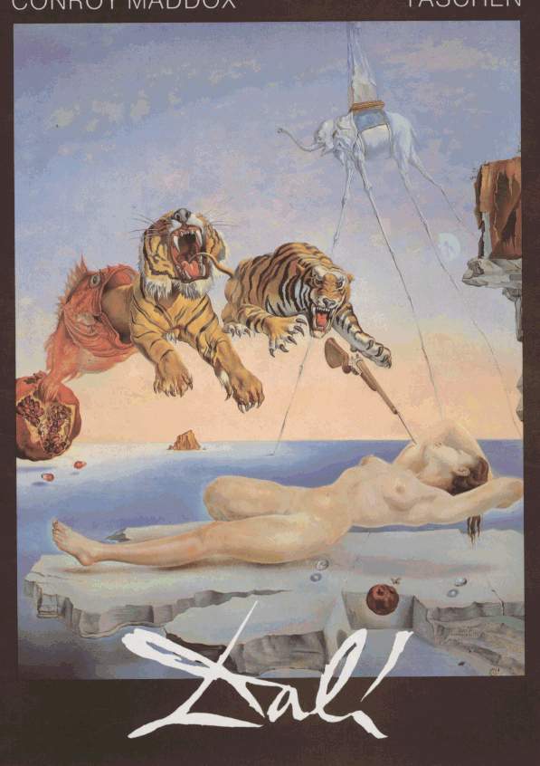 Salvadore Dali - Dream