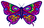 purple butterfly