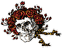 skull and roses