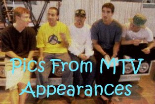 MTV Appearances