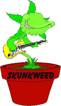 Enter Skunkweed