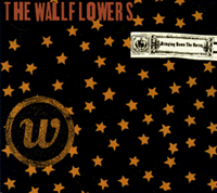 Wallflowers