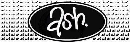 ash logo.jpg (39430 bytes)