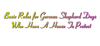 Basic Rules For German Shepherd Dogs