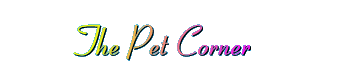 The Pet Corner