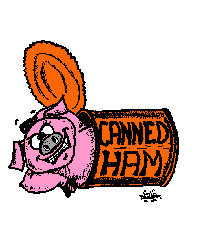 This is canned ham.