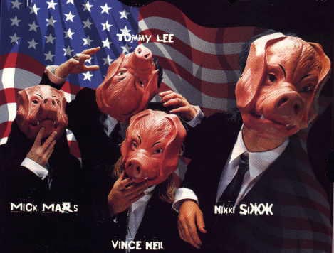 PIG HEADS, swine