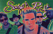 sugarray.jpg (13065 bytes)