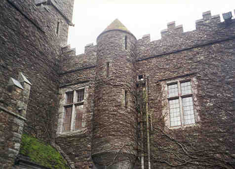 Waterford Castle