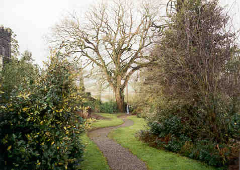 Path at Waterford Castle