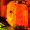 Jar Of Flies