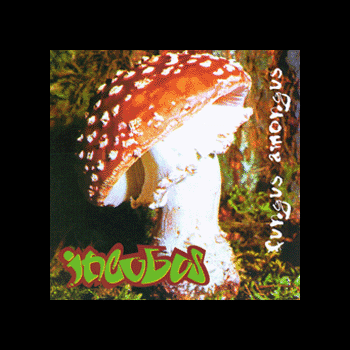 fungus.gif - 40771 Bytes