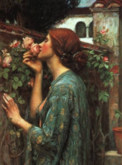 My Sweeet Rose by J.W. Waterhouse