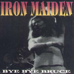 The frontcover of Bye Bye Bruce