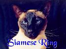 SIAMESE CAT RING