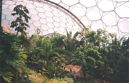 eden project - tropical biome