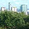 cricket nets, cityscape