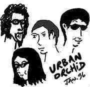 Urban Orchid, January 1996