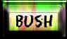 Bush