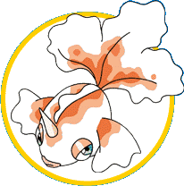 Goldeen: gua