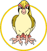 Pidgeot: Normal e Voador