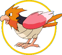 Spearow: Normal e Voador