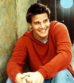 David Boreanaz