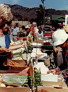 Farmer's Market