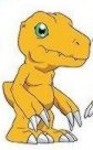 agumon