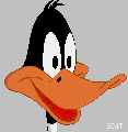 Daffy