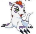 gomamon