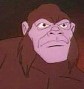 Grodd