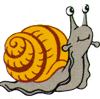 Snail