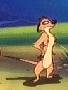 Timon