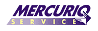 Logo Mercurio Service