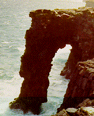 Coastal Arch