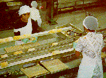 Cannery production line