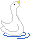 swan