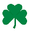 shamrock